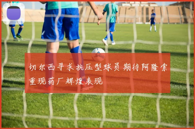 切尔西寻求抗压型球员期待阿隆索重现药厂辉煌表现